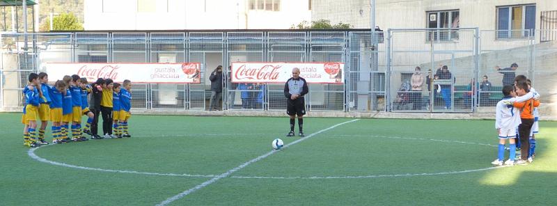 2003_Ligorna_Pegliese_blu_raccoglimento_Tanganelli_26-11-2011.jpg