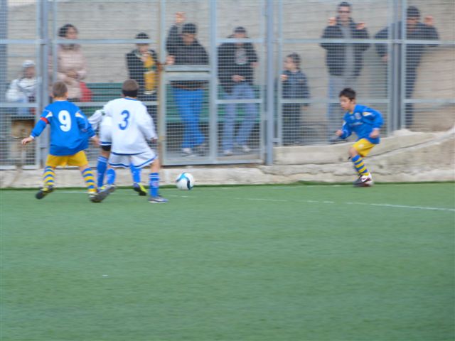 P1010761.jpg