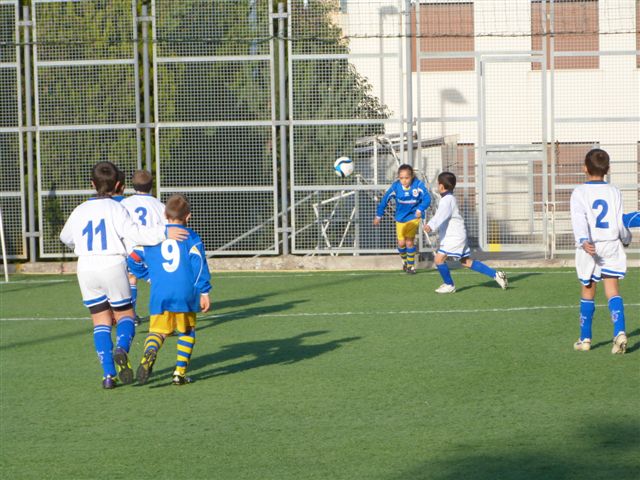 P1010762.jpg
