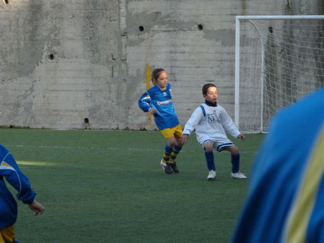 P1010764.jpg