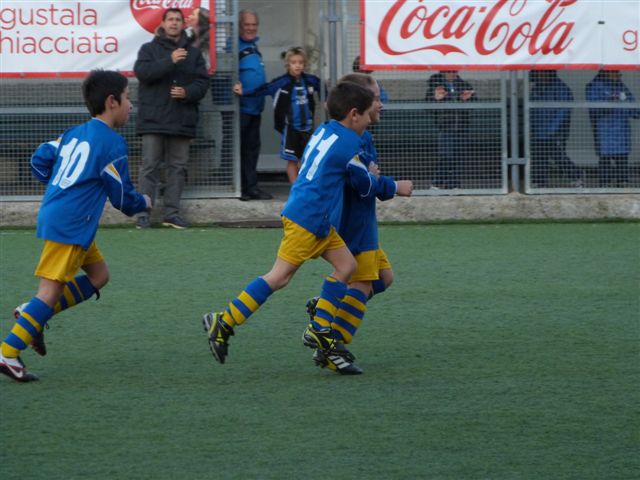 P1010767.jpg