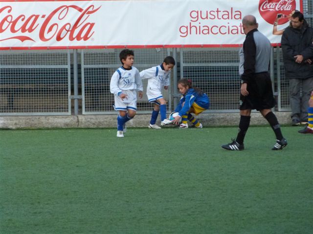 P1010778.jpg