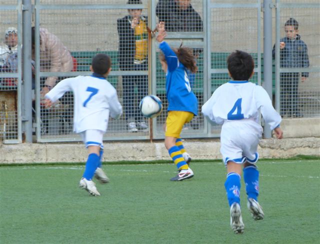 aP1010758.jpg