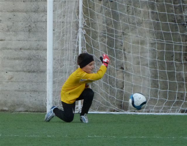 aP1010770.jpg