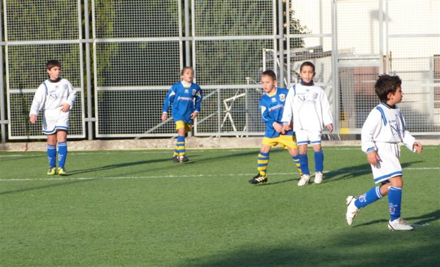 aP1010775.jpg